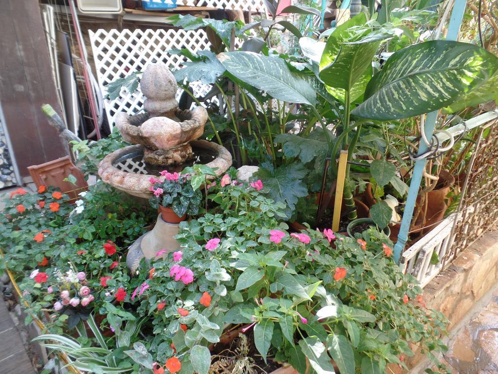 예루살렘 Cozy Garden 아파트 외부 사진