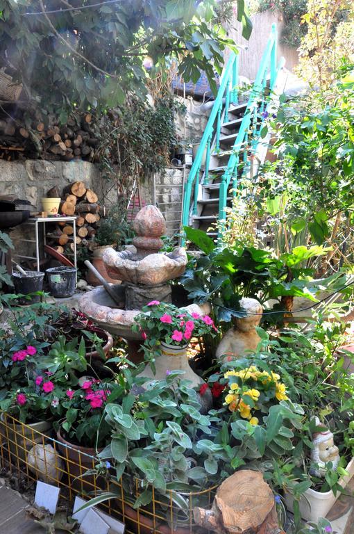 예루살렘 Cozy Garden 아파트 외부 사진