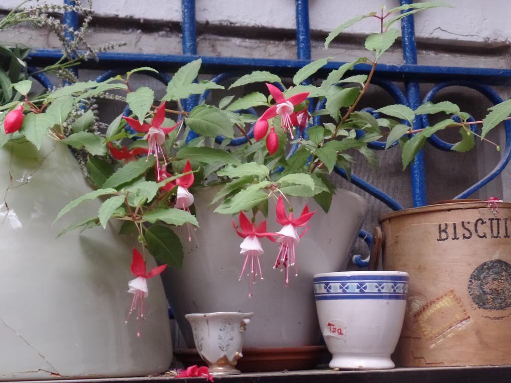 예루살렘 Cozy Garden 아파트 외부 사진