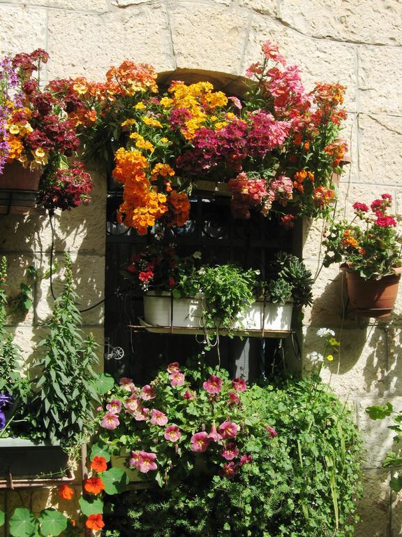 예루살렘 Cozy Garden 아파트 외부 사진