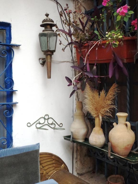 예루살렘 Cozy Garden 아파트 외부 사진