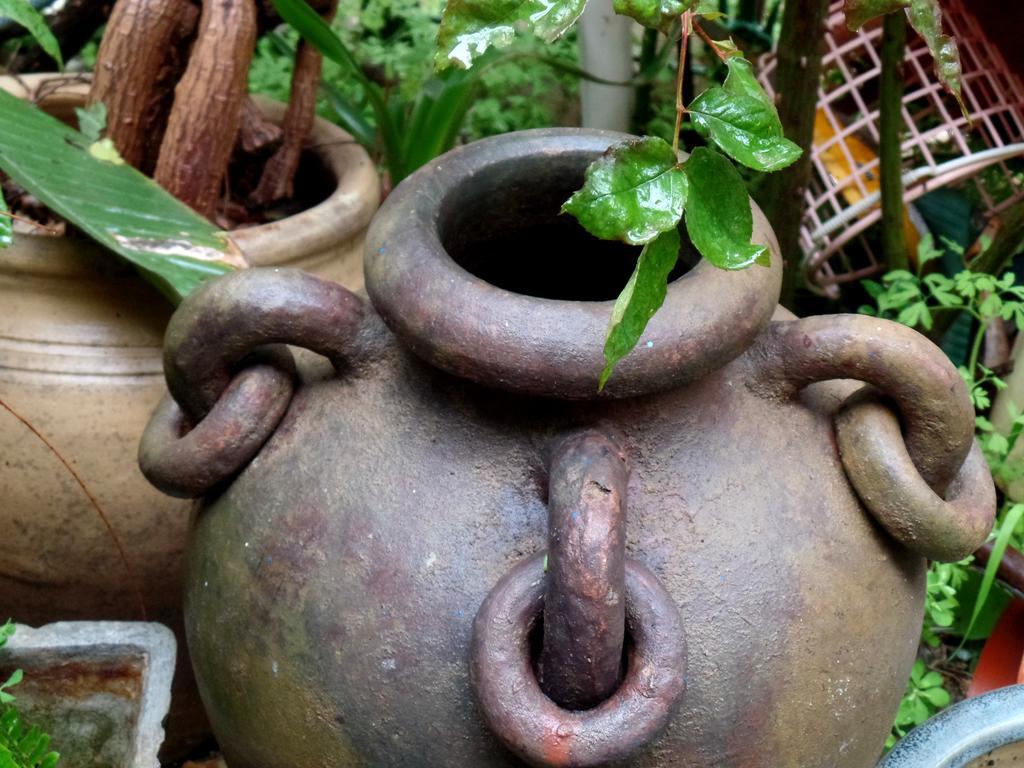 예루살렘 Cozy Garden 아파트 외부 사진