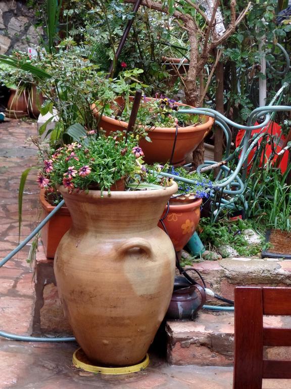 예루살렘 Cozy Garden 아파트 외부 사진