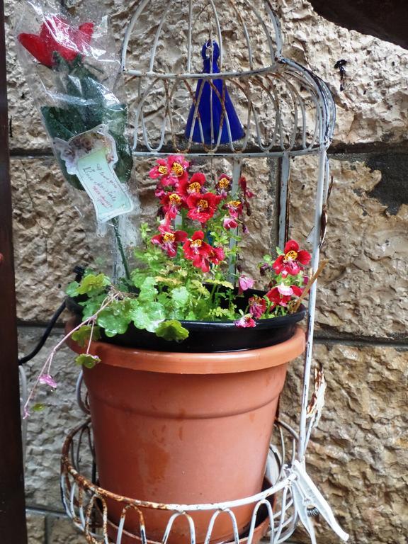 예루살렘 Cozy Garden 아파트 외부 사진
