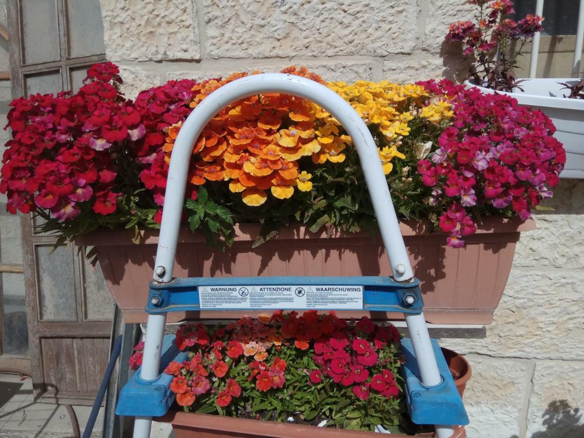 예루살렘 Cozy Garden 아파트 외부 사진